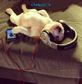 دانلود آهنگ عقیق نابی زلال چون آبی امیر ماهان راز و نیاز ( ریمیکس اینستا کامل )