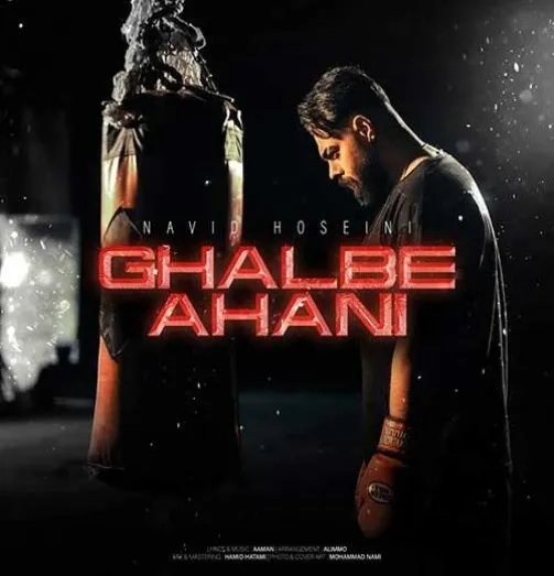 دانلود آهنگ خونه ای که ساختم برات تو آسمونا بود الان تو‌گله نوید حسینی ریمیکس تند ترند اینستا